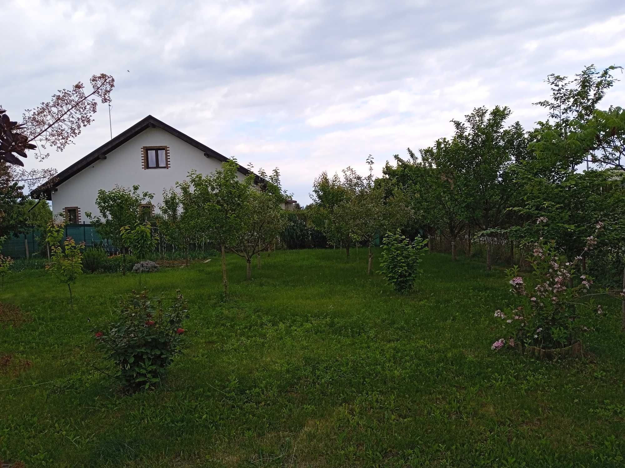 Teren rezidențial in mijlocul naturii Saftica-Ilfov-Bucuresti