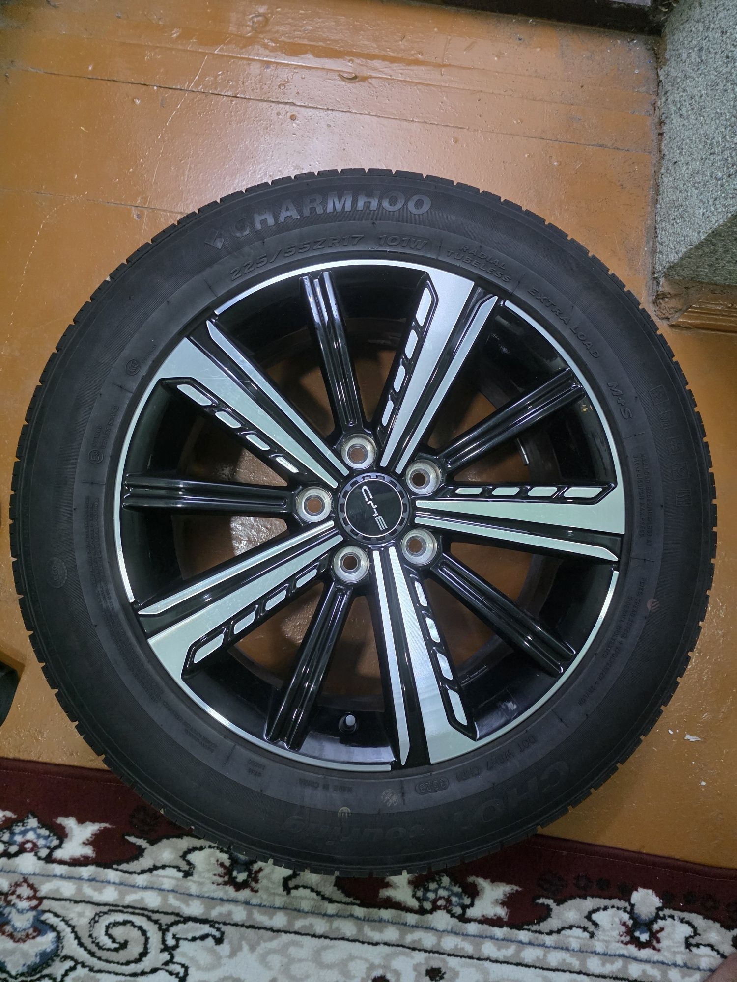 R17  chazor dick CHARIMHOO balonlaribilan