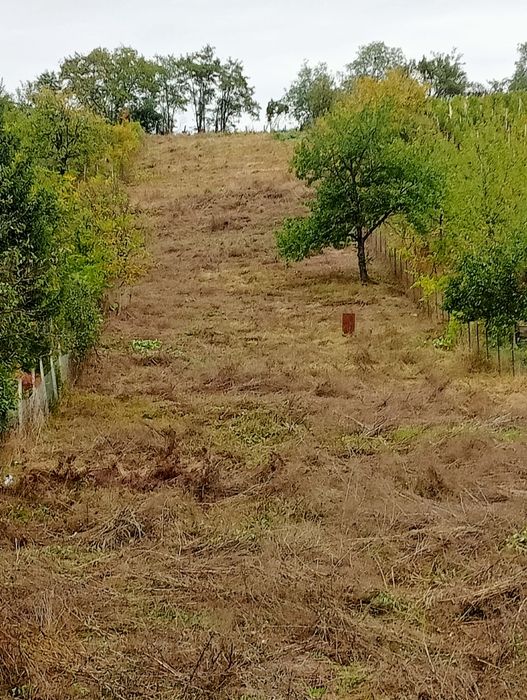 Executam lucrări de defrișat terenuri ,cosit iarba ,tăiat copaci