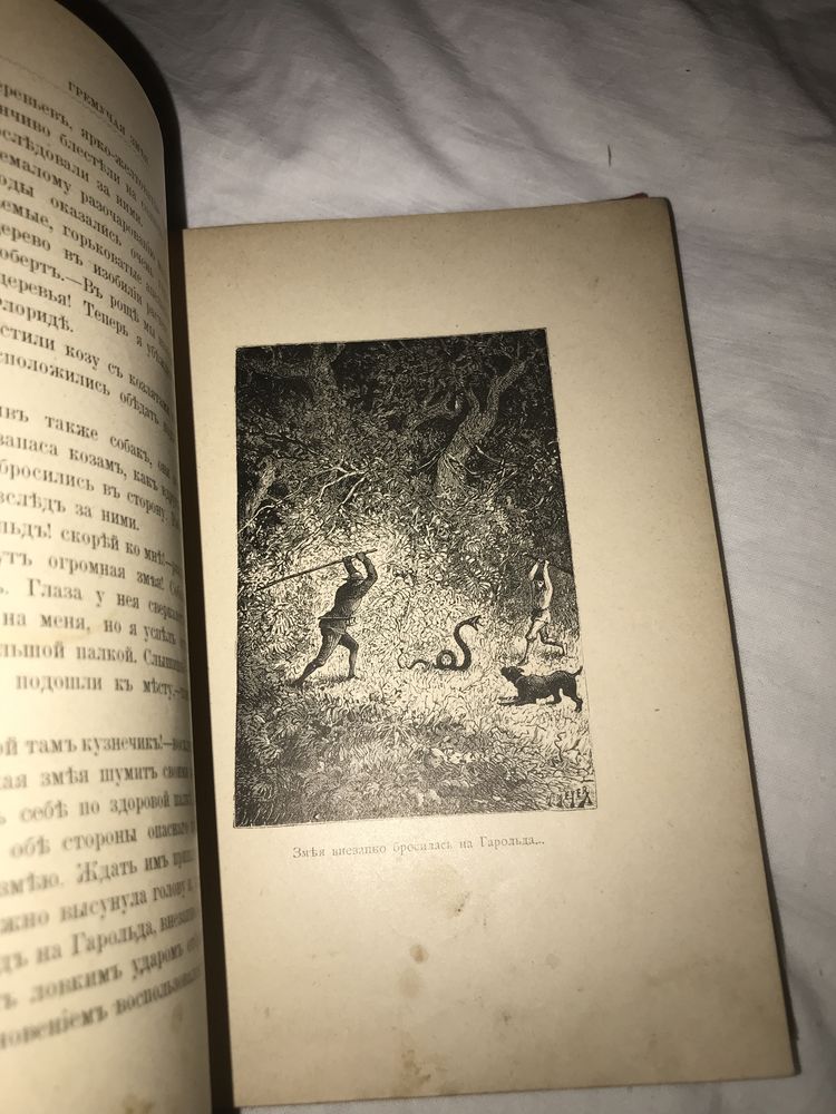 В лесах Флорида, книга 1902 года с иллюстрациями