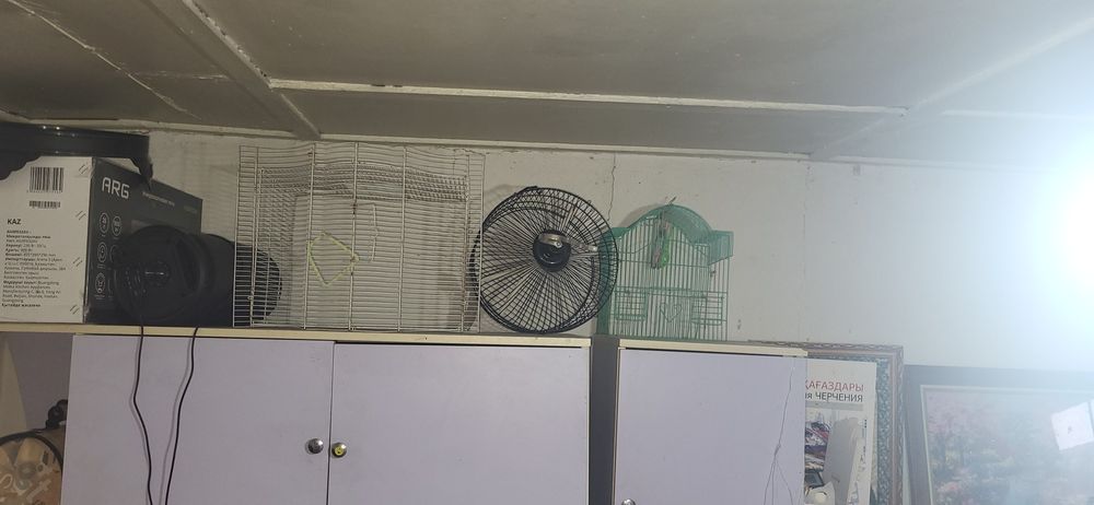 Продам 3 клетки срочно