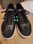 Adidas/Formula one team