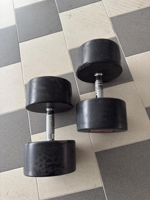 Set gantere 46 kg