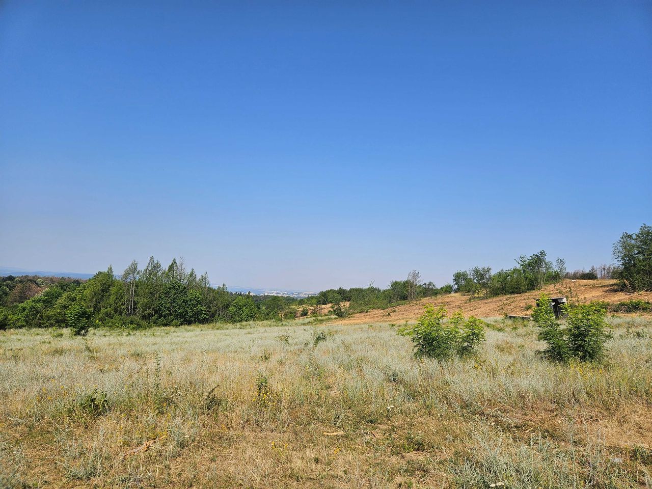 Продава се Парцел в с. Шереметя, Област Велико Търново - 13500 кв.м за 75 €/кв.м - Снимка #4
