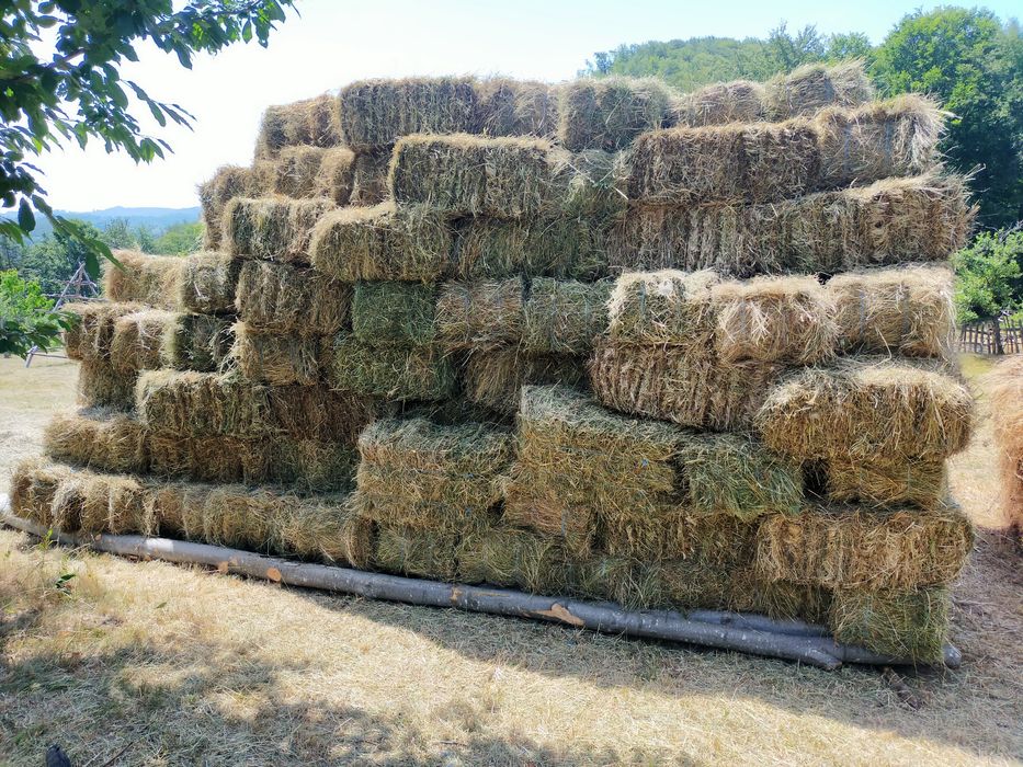 Vând 300 de baloți de fân producție proprieie!