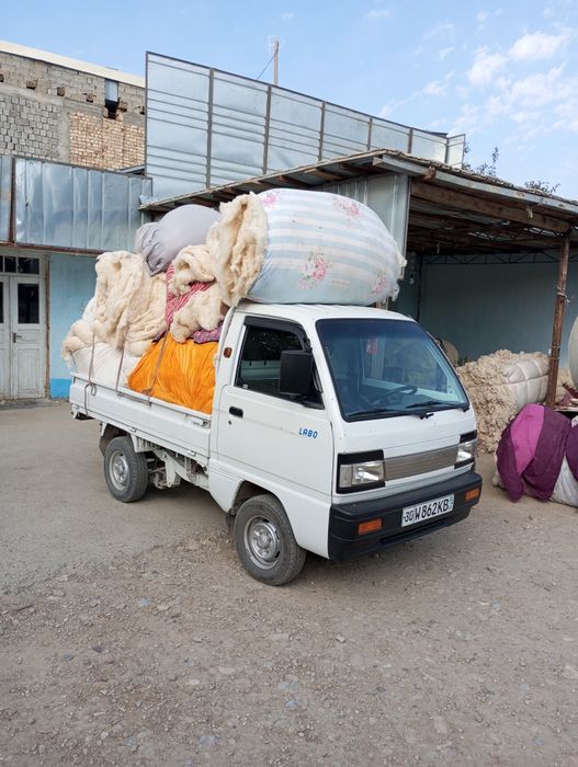 Сфатли Тин-тин бизда