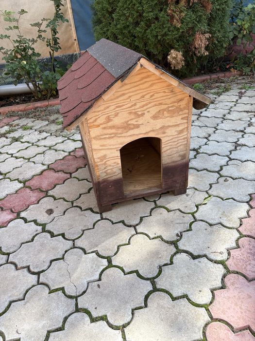 Cusca catel talie medie