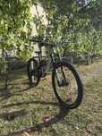 Canyon Spectral 29 AL 5