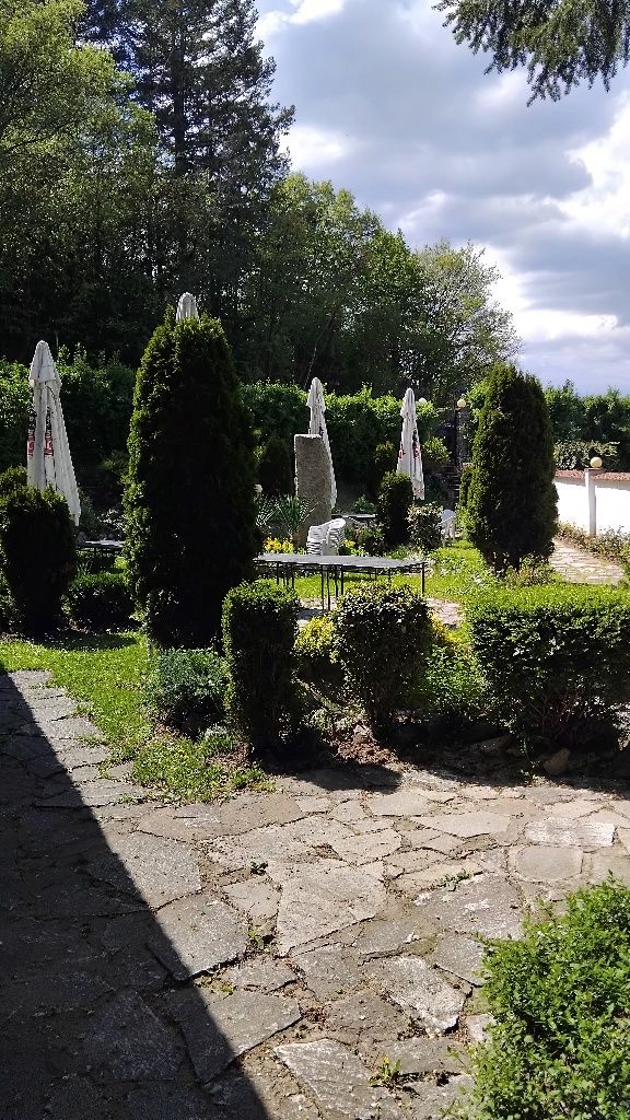 Дава се под наем Заведение в Кюстендил, Център - 330 кв.м за 1275 € - Снимка #7