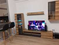Inchiriez apartament cu o camera