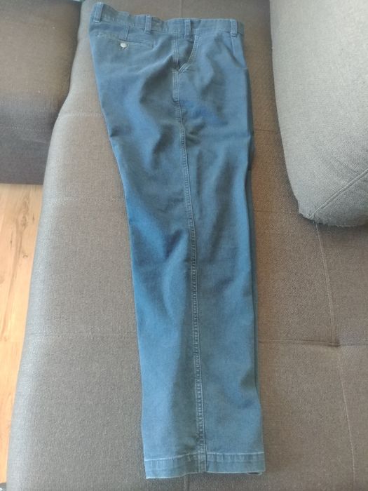 Raiați negri, albastri,închiși și deschisi