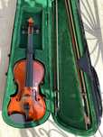 Vioara Acustica Flame
