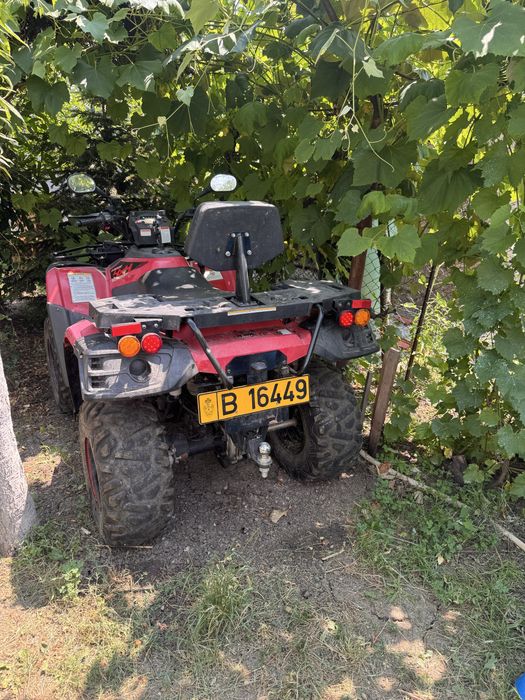 ATV LINHAI Dragon Fly 300, 4x4, 2020