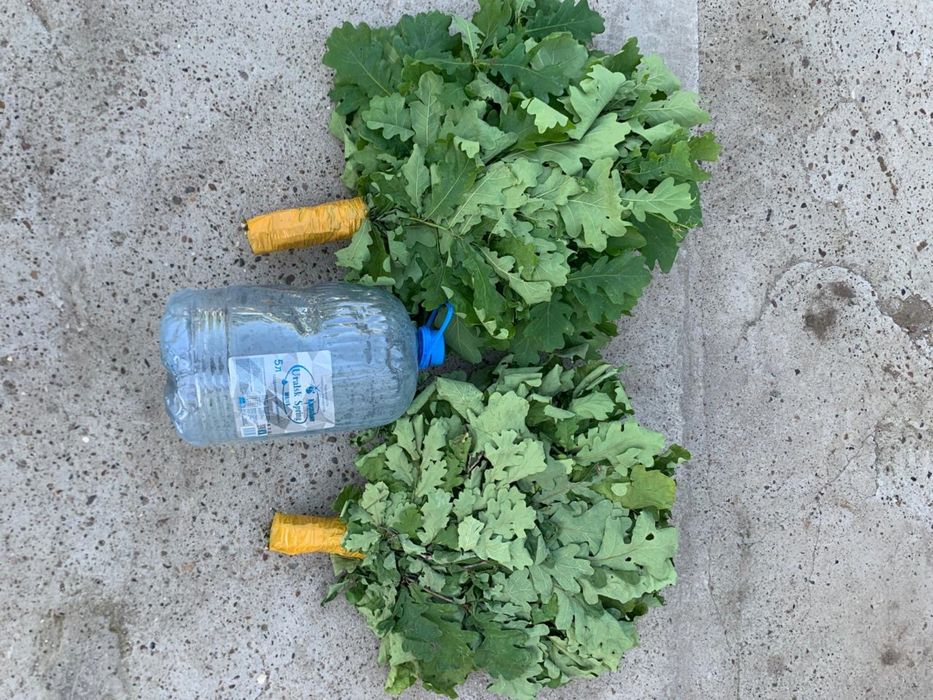 Продам веники дубовые