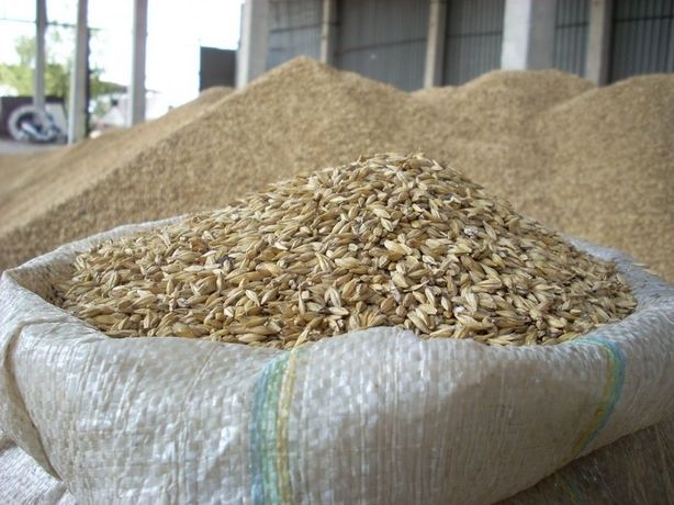 ТОО "KazFeedTrade" предлагает  пшеница овёс кукуруза отруби зерносмесь