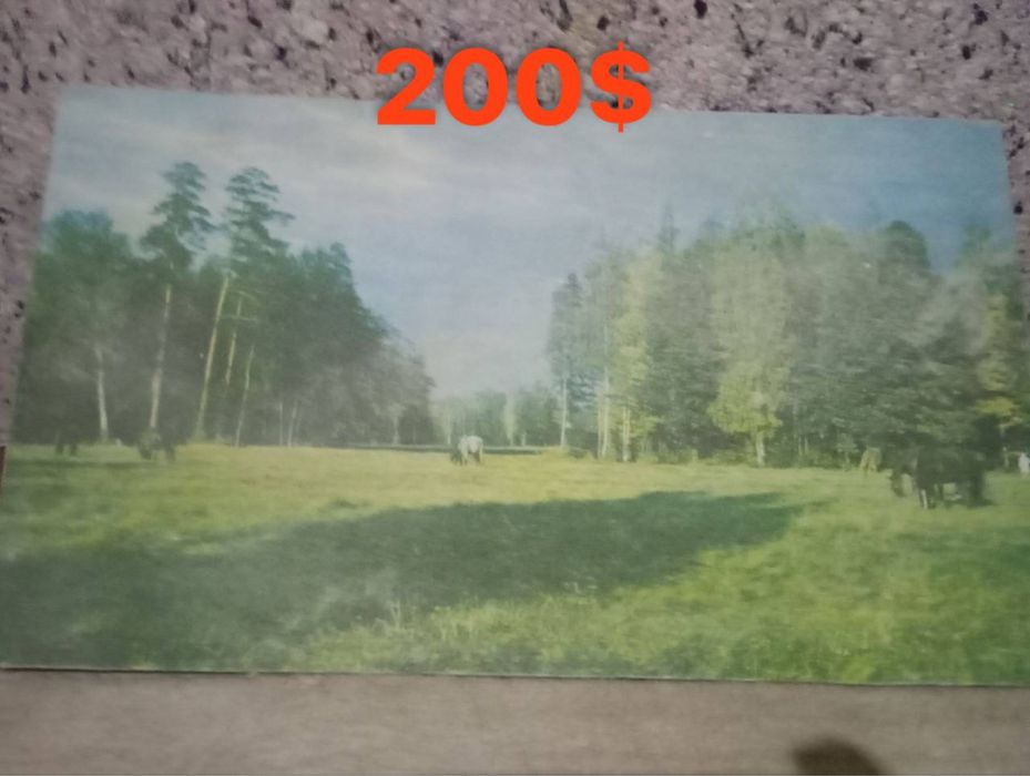 Срочно продаются картины