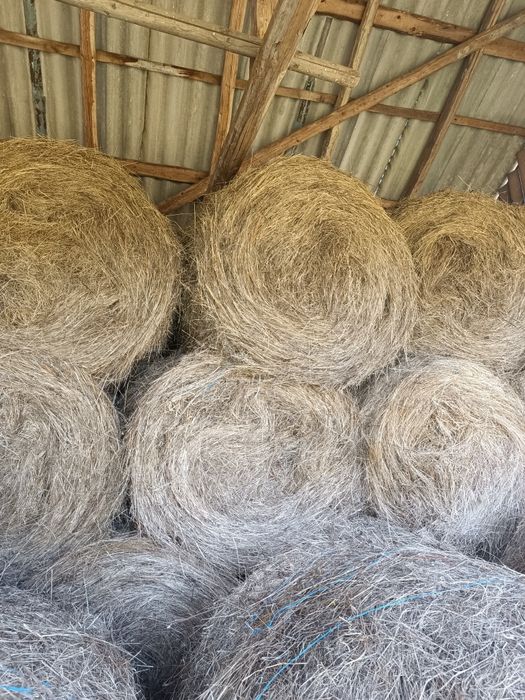 Baloți rotunzi de vânzare!