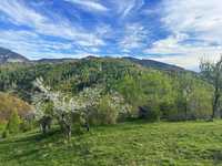 Teren 21000 mp, sat Pestera, zona Bran-Moeciu, Piatra Craiului-Bucegi
