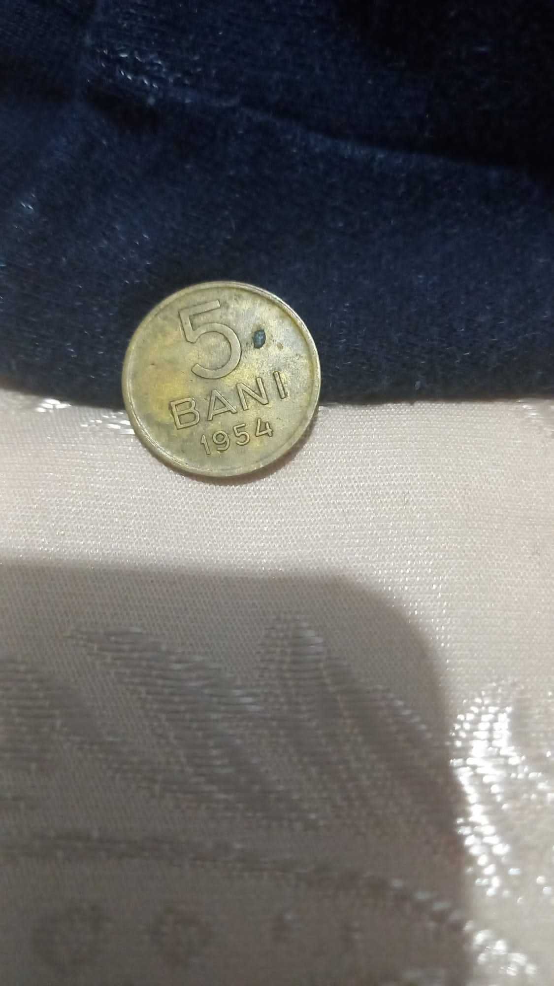 Moneda 5 bani din 1954