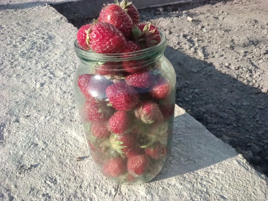 Продам клубнику сладкую вкусную, местную.