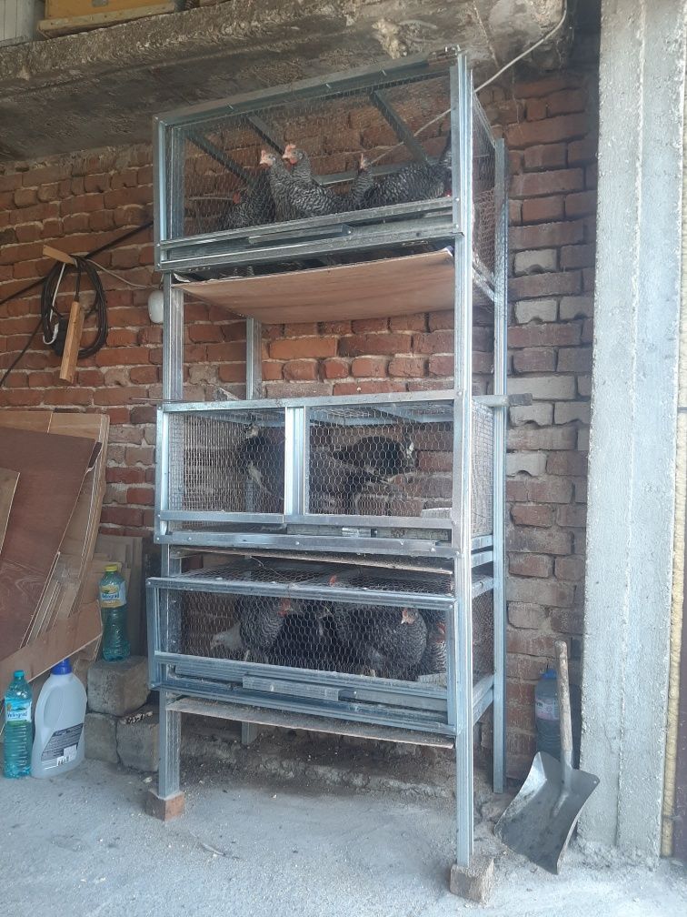 Клетка на 3 етажа