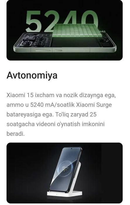 Xiaomi 15 12/256