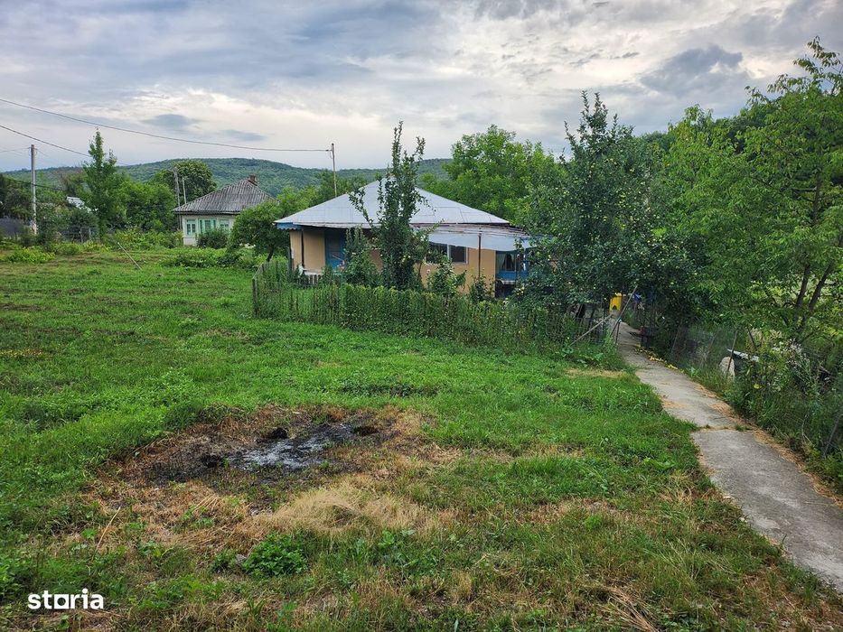 Casa cu teren langa padure la Buhoci