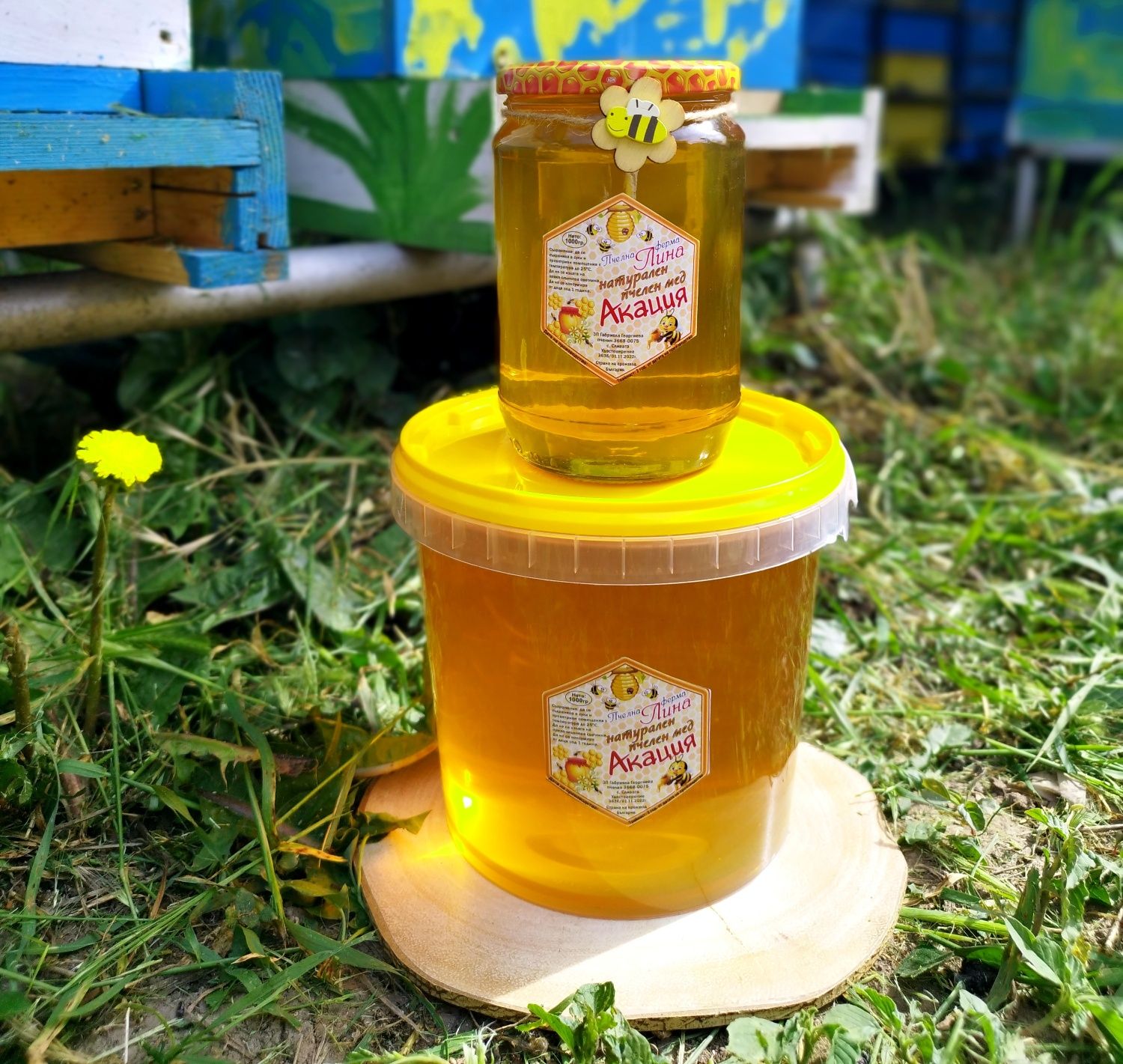 Пчелен Мед и Пчелни продукти директно от пчелина