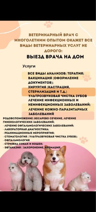 Ветеринар на выезд 24/7