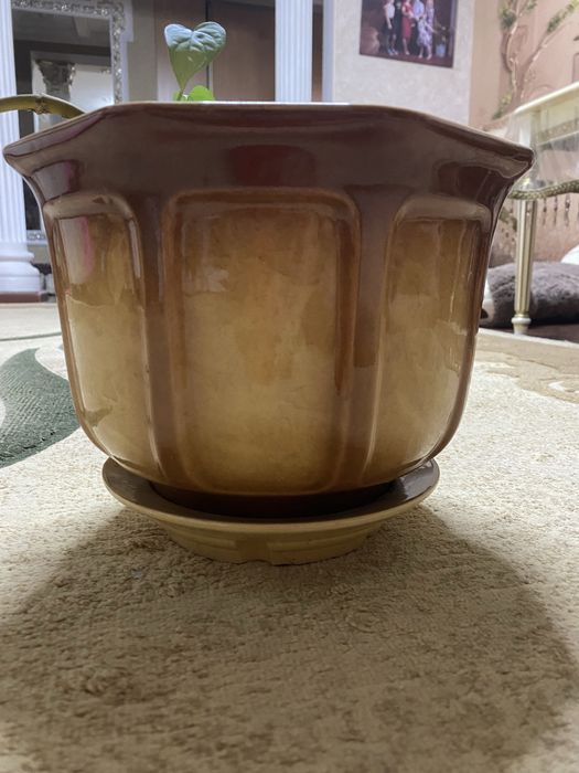 Горшок керамический с отростками