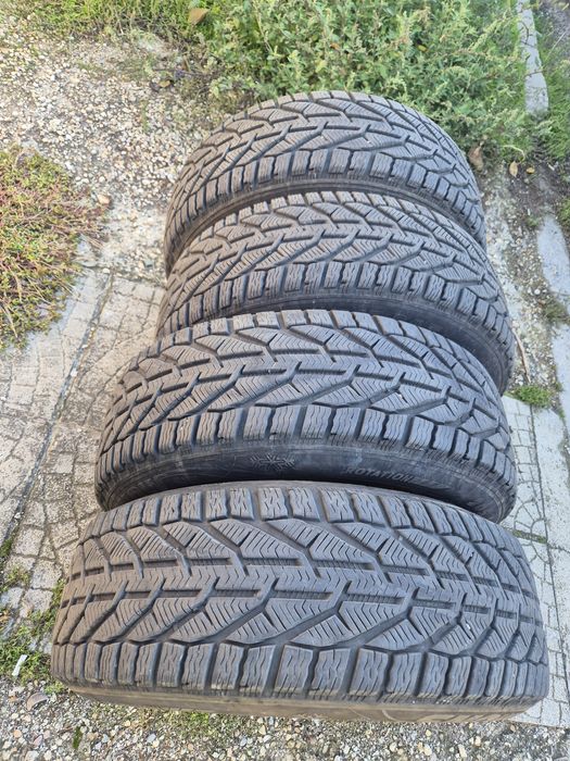 205 65 15 Корморан дот 4423г