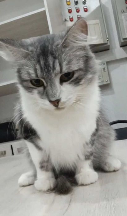 Удивительно добрая девочка ищет дом