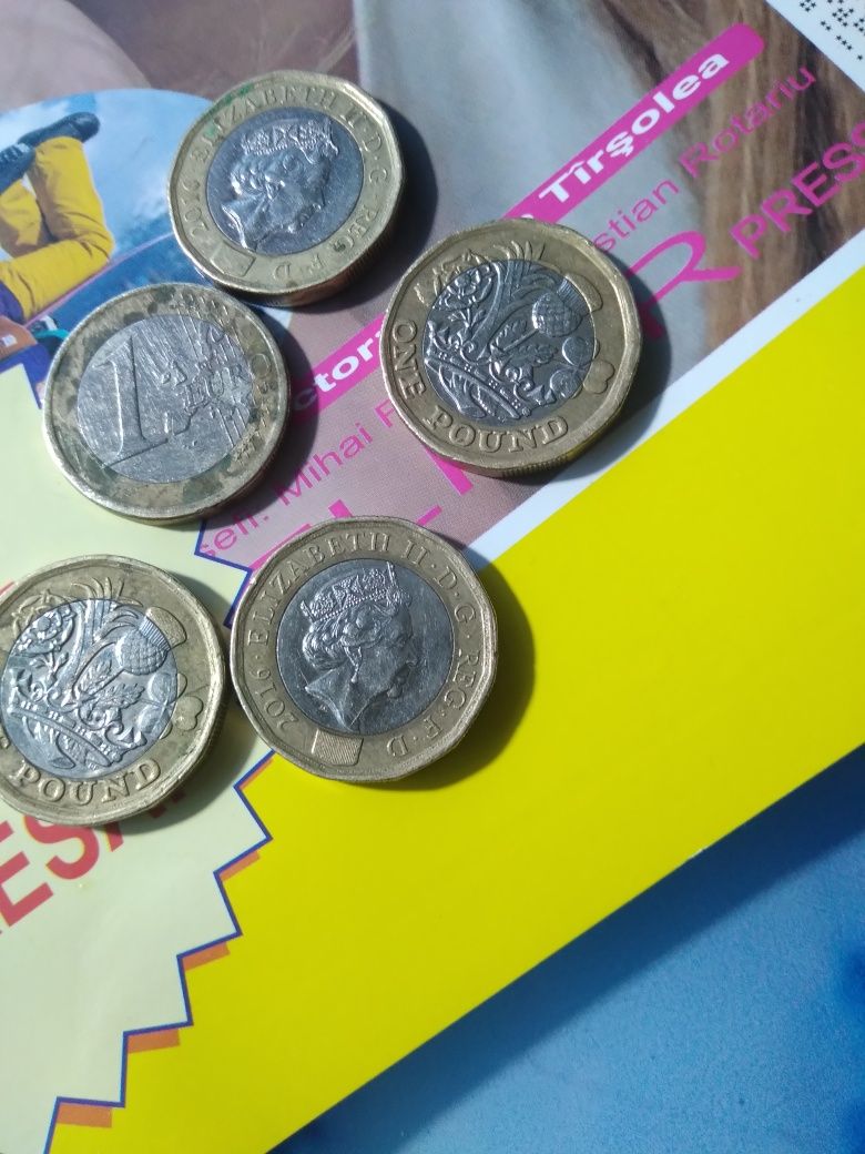 Monede de o liră reg Elisabeta a doua