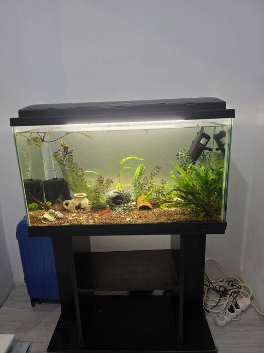 Vând acvariu 120 L