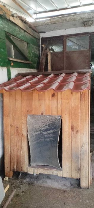 Продавам голяма къща за куче