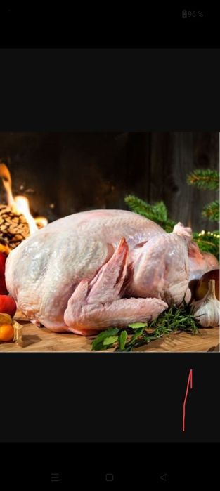 Мясо домашней индейки