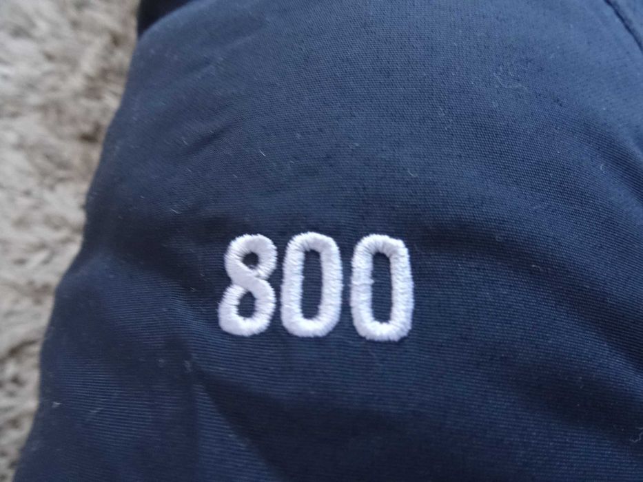 the north face M summit series 800