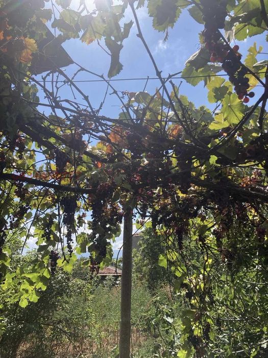 Продава се Къща в с. Куртово, Област Пловдив - 90 кв.м за 7667 €/кв.м - Снимка #2