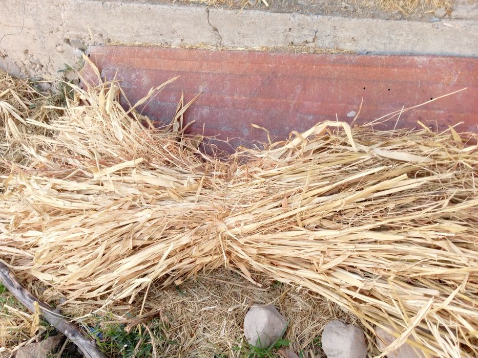 Mollar uchun sifatli barra boĝlik poya va poya preslar