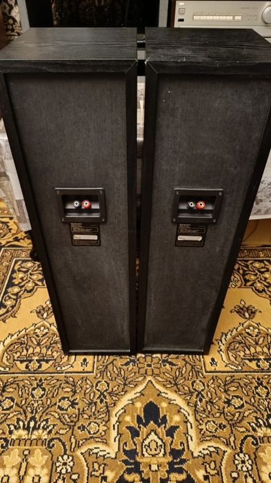 Колонки Technics SB-T 100