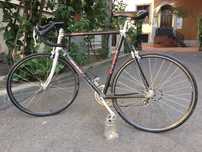 Cursiera Giant carbon