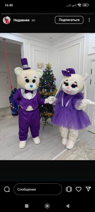 Мишки Тедди,Аниматоры,Костюмы