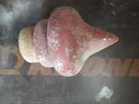 Varfuri stâlpi gard 8buc. 50LEI