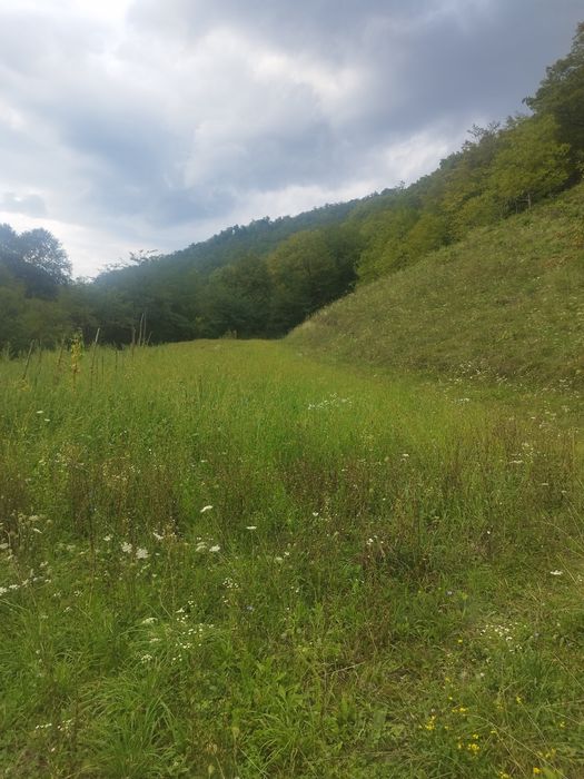 Vând teren  stradal