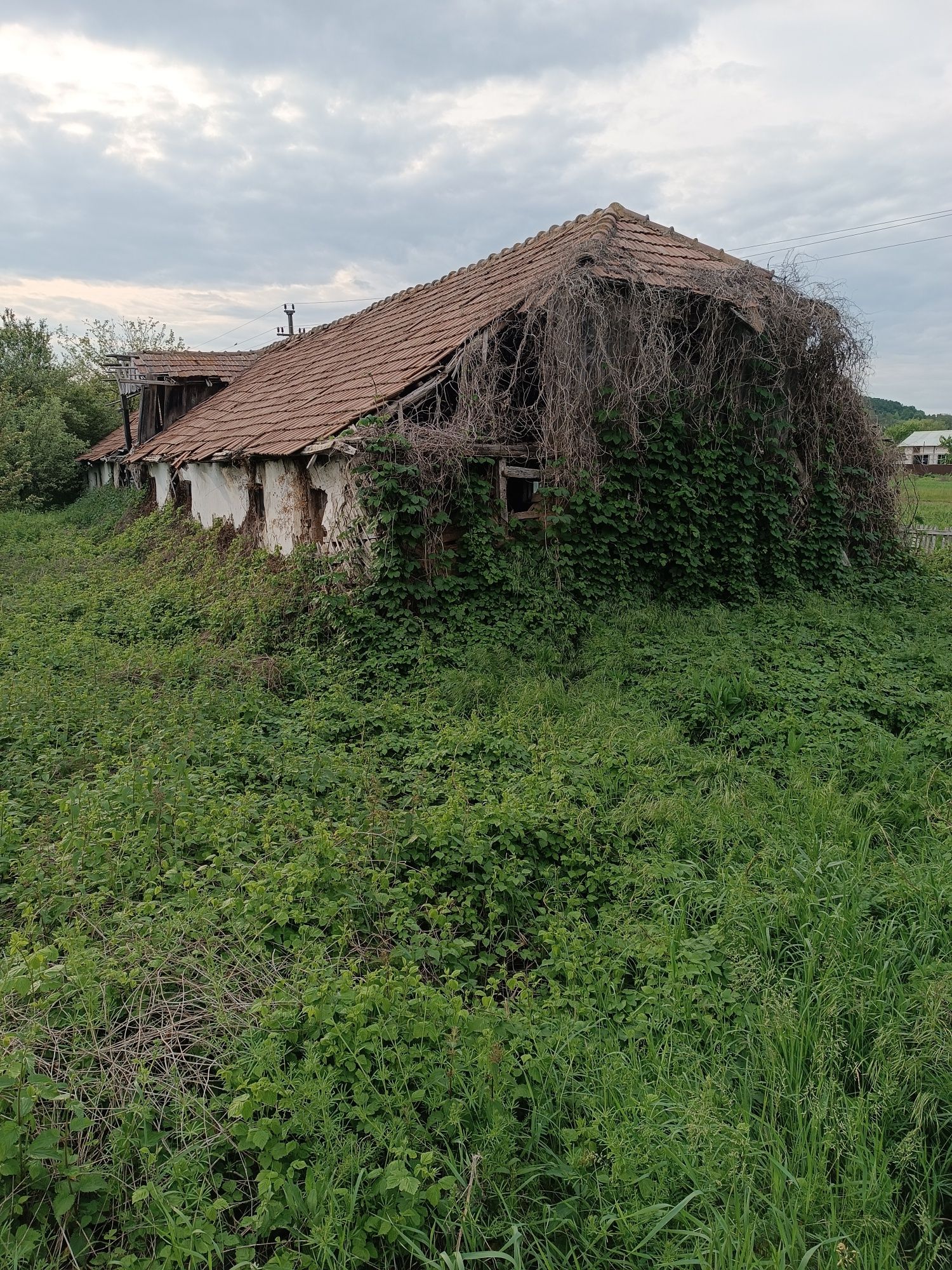 Grajd din lemn și chirpici