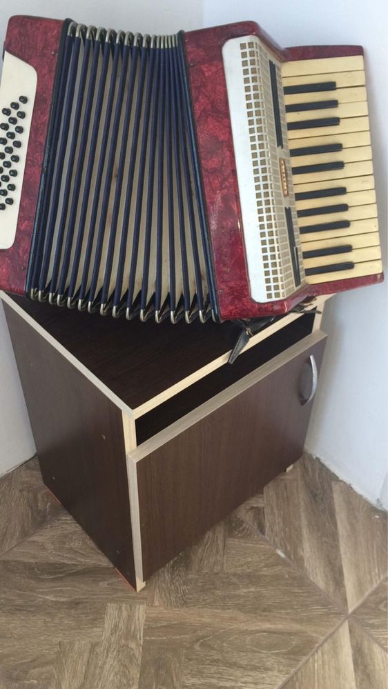 Acordeon pentru copii