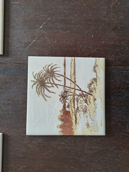 Фаянсови плочки за баня, 20х20 см