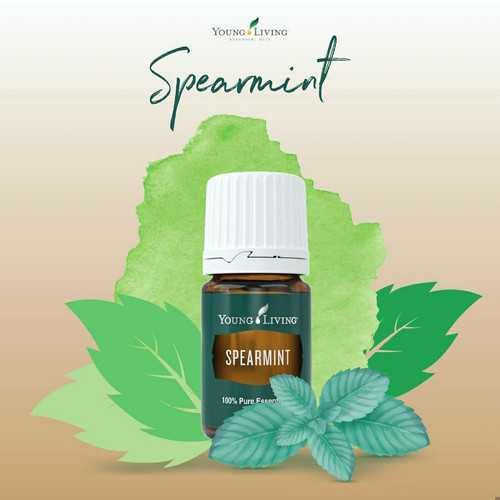 Ulei esential pur Menta verde (Spearmint) - Young Living
