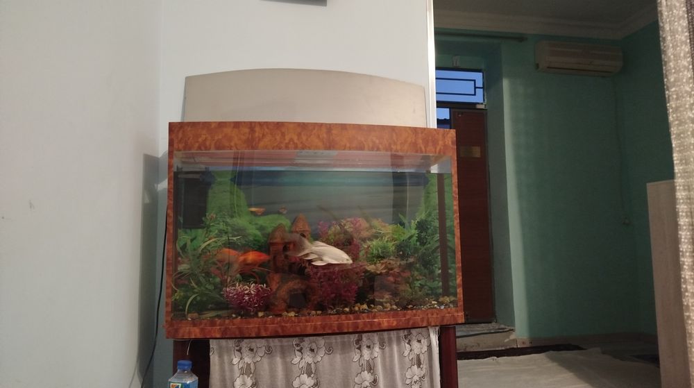 Akvarium sotiladi. Ofis, Uy va Loundry uchun ajoyib imkoniyat va tanlo