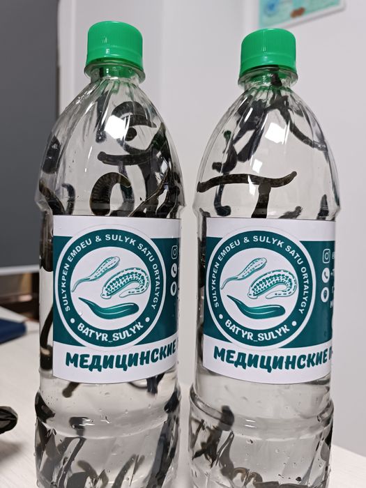 Сертифицированные медицинские пиявки Шымкент, пиявка, сулик, пиявки